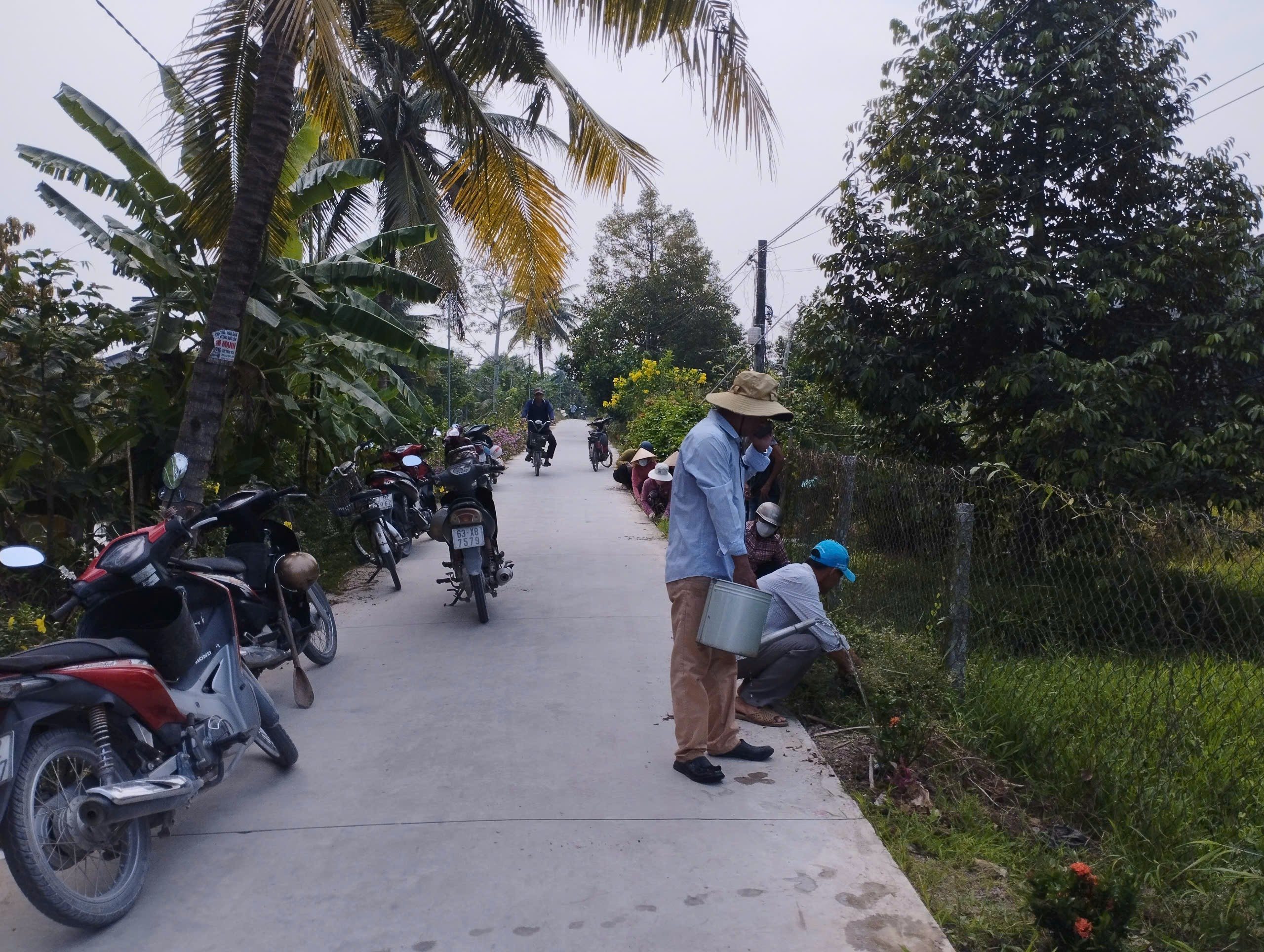 Ấp Thanh Bình xã Thanh Hòa: Ra quân trồng hoa, chuẩn bị cho ra mắt con đường văn hóa